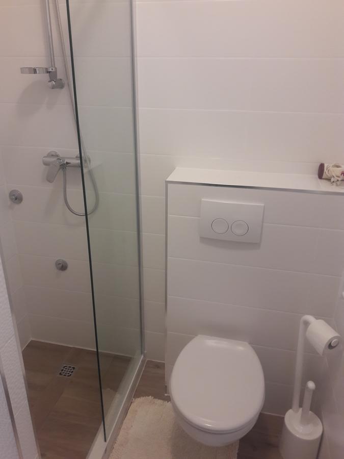 Roza Guest House Сень Екстер'єр фото